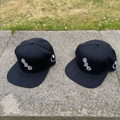 SNAPBACK HATS